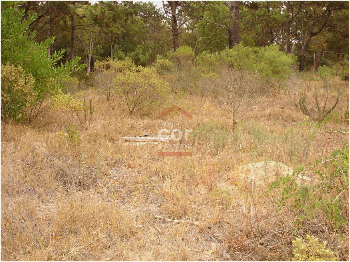 La Barra - GoPunta - Portal Inmobiliario de Punta del Este - Maldonado