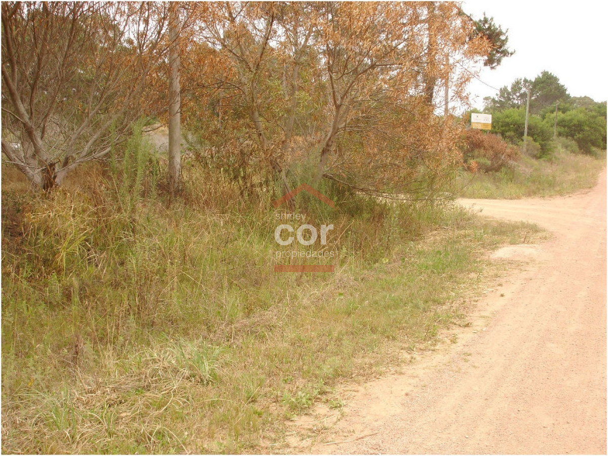 La Barra - GoPunta - Portal Inmobiliario de Punta del Este - Maldonado
