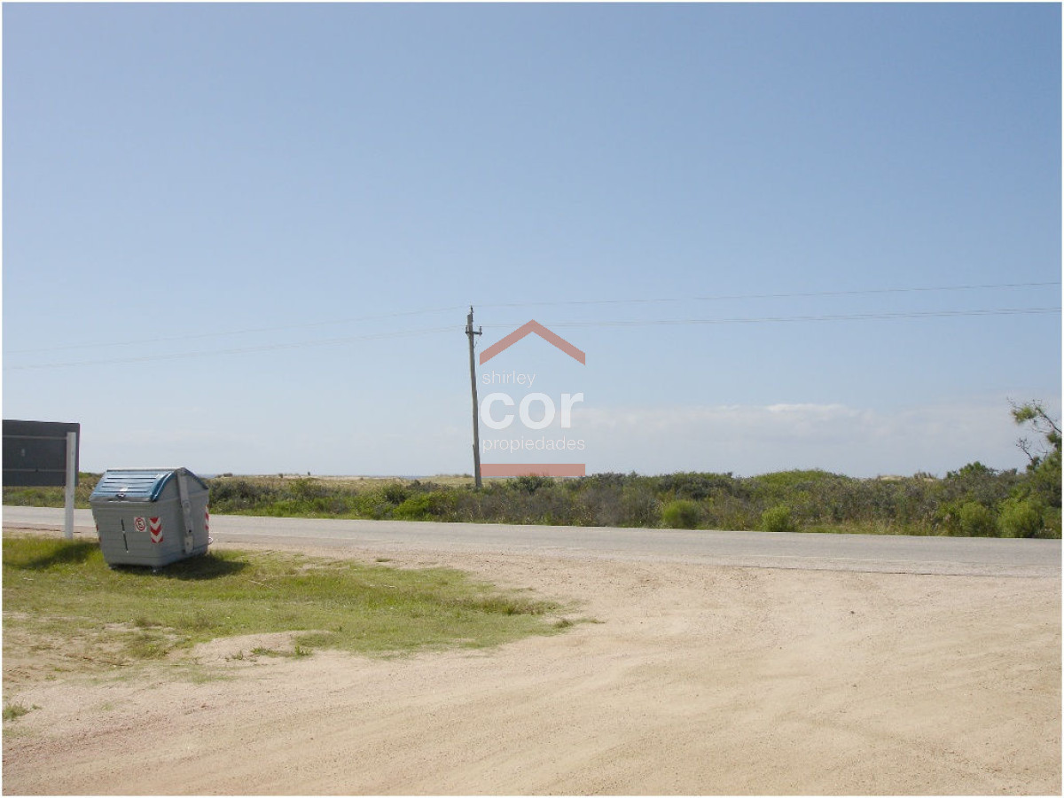 Balneario Buenos Aires - GoPunta - Portal Inmobiliario de Punta del Este - Maldonado