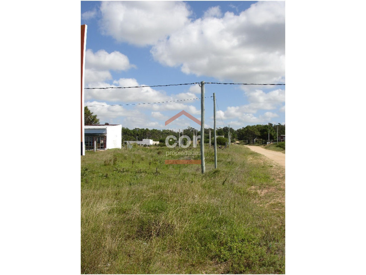 Balneario Buenos Aires - GoPunta - Portal Inmobiliario de Punta del Este - Maldonado