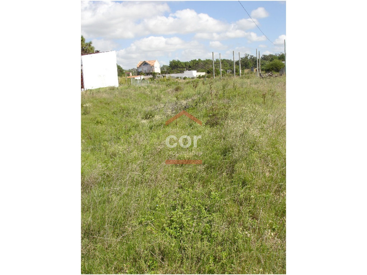 Balneario Buenos Aires - GoPunta - Portal Inmobiliario de Punta del Este - Maldonado