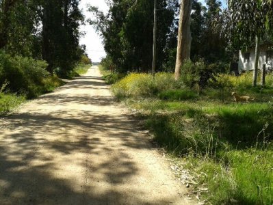 Terreno en Manantiales, Balneario Buenos Aires