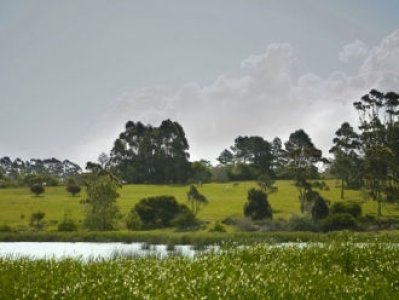 Terreno en Manantiales, Manantiales