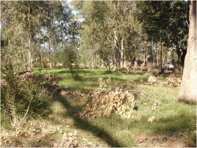 Terreno en La Barra, El Tesoro