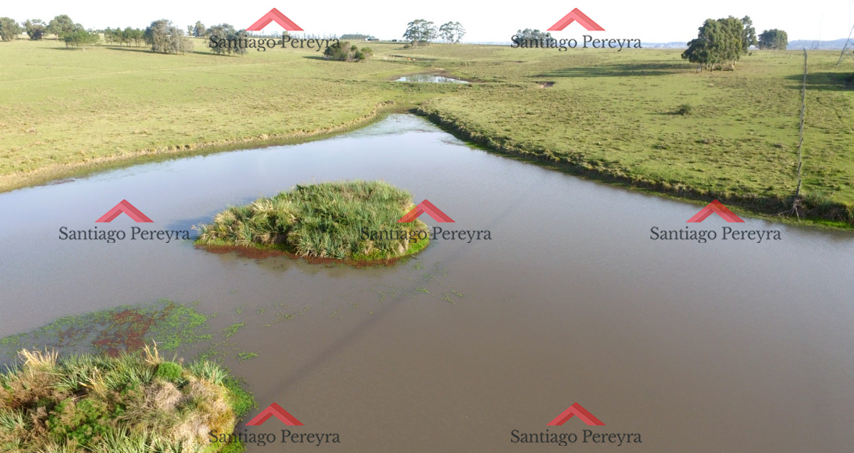 Venta de Excelente Campo   Chacra Maritima   La Barra   Punta del Este - GoPunta - Portal Inmobiliario de Punta del Este - Maldonado