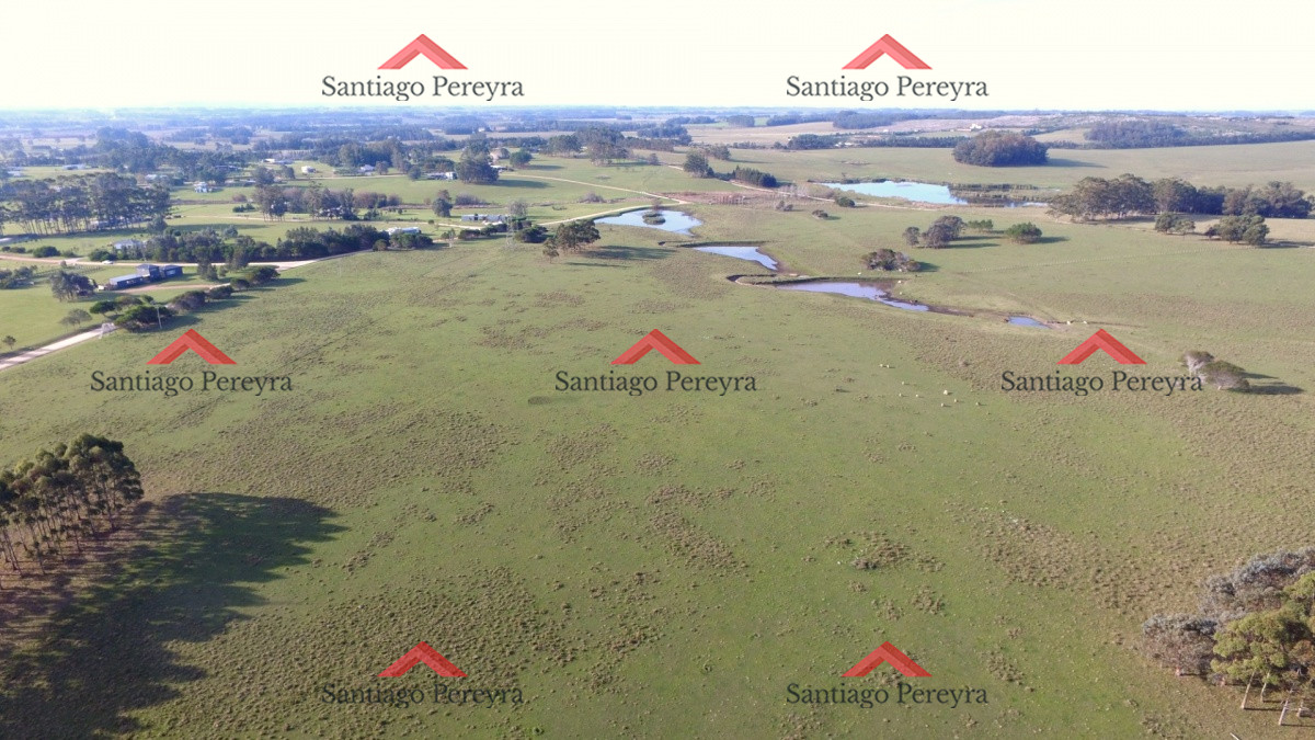 Venta de Excelente Campo   Chacra Maritima   La Barra   Punta del Este - GoPunta - Portal Inmobiliario de Punta del Este - Maldonado
