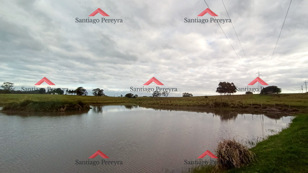Venta de Excelente Campo   Chacra Maritima   La Barra   Punta del Este - GoPunta - Portal Inmobiliario de Punta del Este - Maldonado