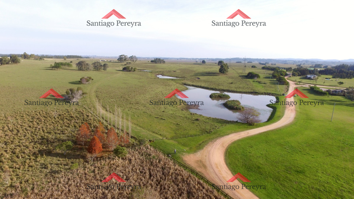 Venta de Excelente Campo   Chacra Maritima   La Barra   Punta del Este - GoPunta - Portal Inmobiliario de Punta del Este - Maldonado