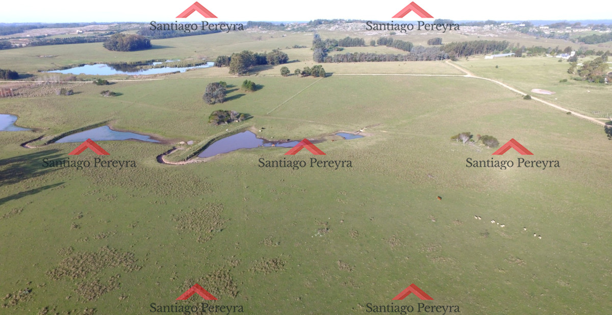 Venta de Excelente Campo   Chacra Maritima   La Barra   Punta del Este - GoPunta - Portal Inmobiliario de Punta del Este - Maldonado