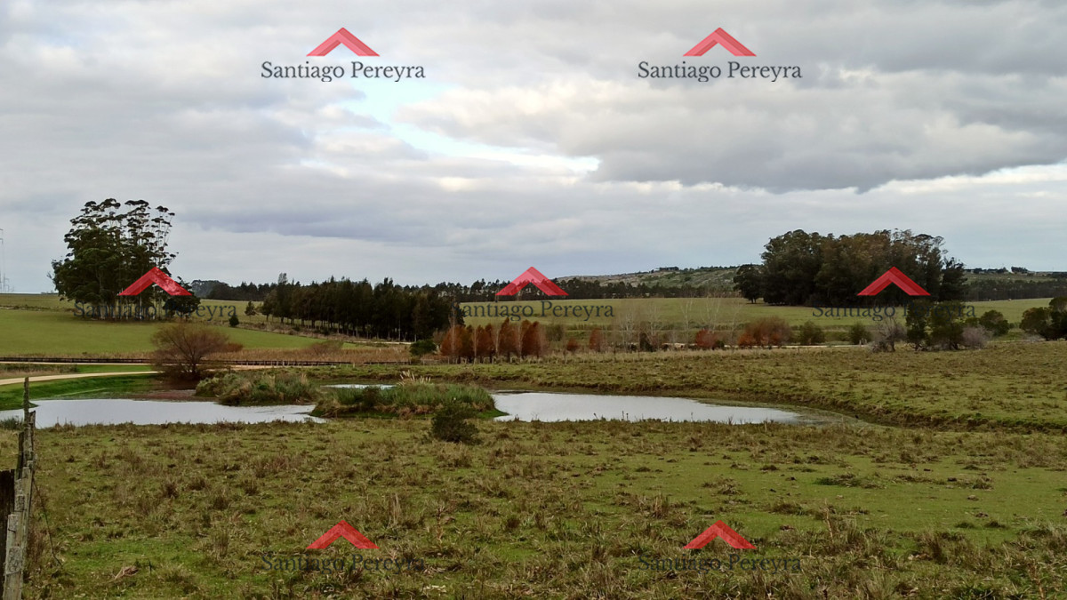Venta de Excelente Campo   Chacra Maritima   La Barra   Punta del Este - GoPunta - Portal Inmobiliario de Punta del Este - Maldonado