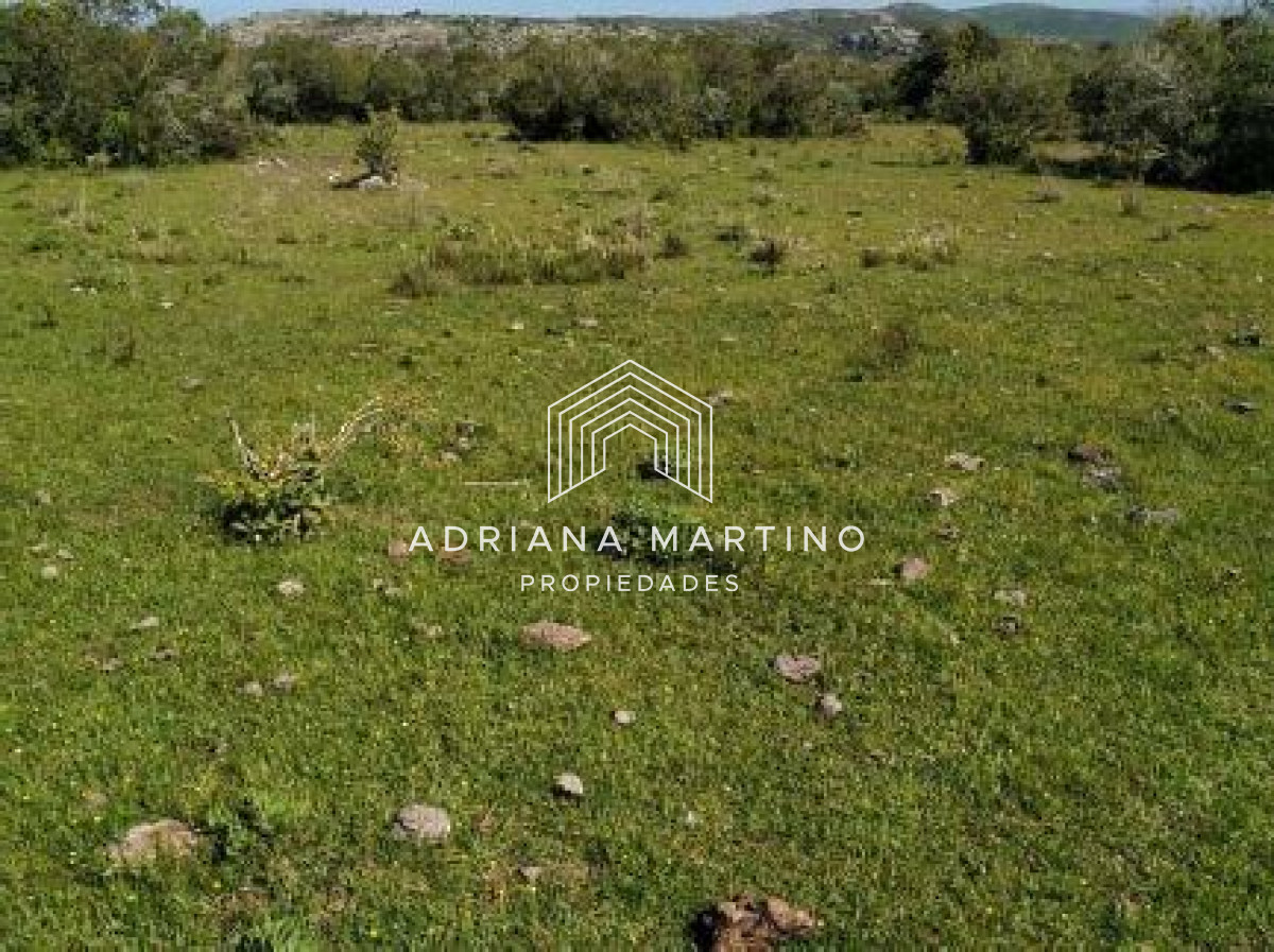 CAMPO GANADERO TURISTICO EN LAVALLEJA - GoPunta - Portal Inmobiliario de Punta del Este - Maldonado