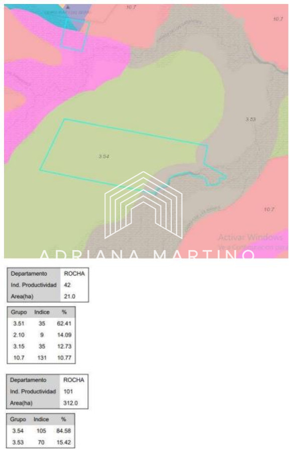 350 HÁS EN ROCHA APTAS PARA AGRICULTURA, GANADERIA Y ARROCERO - GoPunta - Portal Inmobiliario de Punta del Este - Maldonado