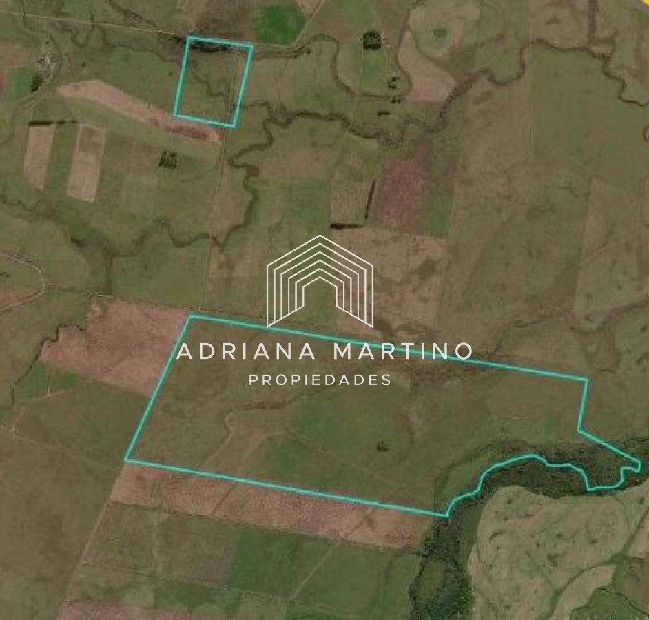350 HÁS EN ROCHA APTAS PARA AGRICULTURA, GANADERIA Y ARROCERO - GoPunta - Portal Inmobiliario de Punta del Este - Maldonado
