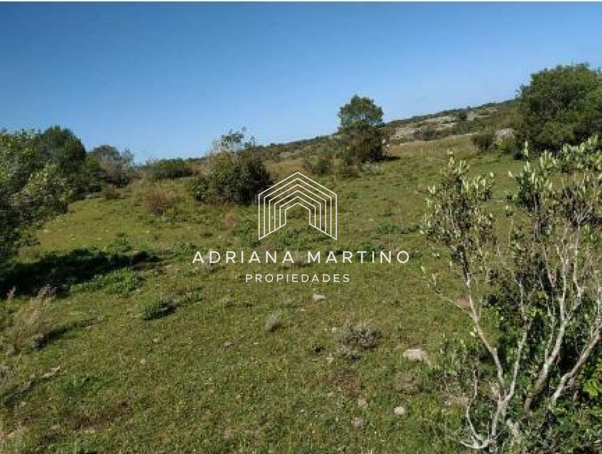 CAMPO GANADERO TURISTICO EN LAVALLEJA - GoPunta - Portal Inmobiliario de Punta del Este - Maldonado