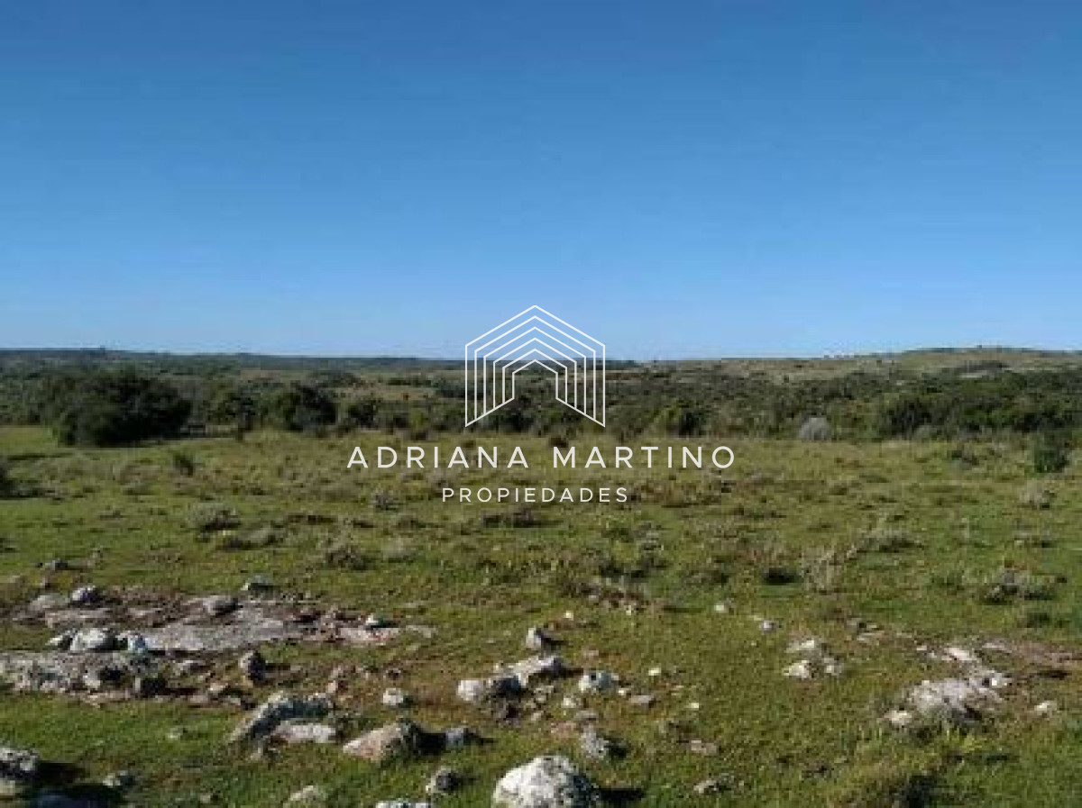 CAMPO GANADERO TURISTICO EN LAVALLEJA - GoPunta - Portal Inmobiliario de Punta del Este - Maldonado