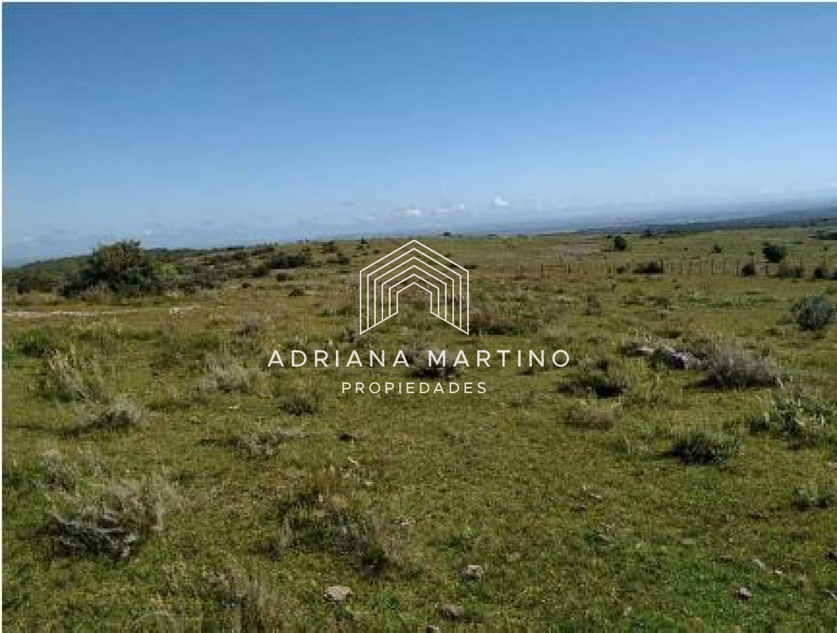 CAMPO GANADERO TURISTICO EN LAVALLEJA - GoPunta - Portal Inmobiliario de Punta del Este - Maldonado