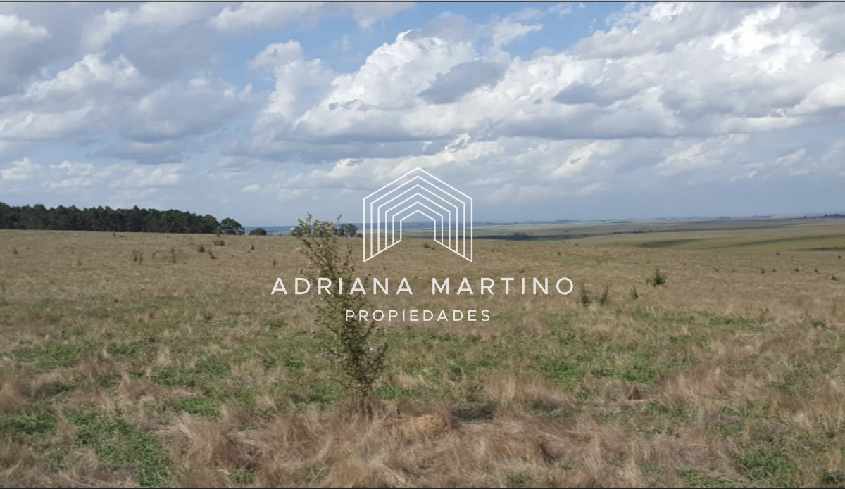 Campo en Lavalleja 1186 ha - GoPunta - Portal Inmobiliario de Punta del Este - Maldonado