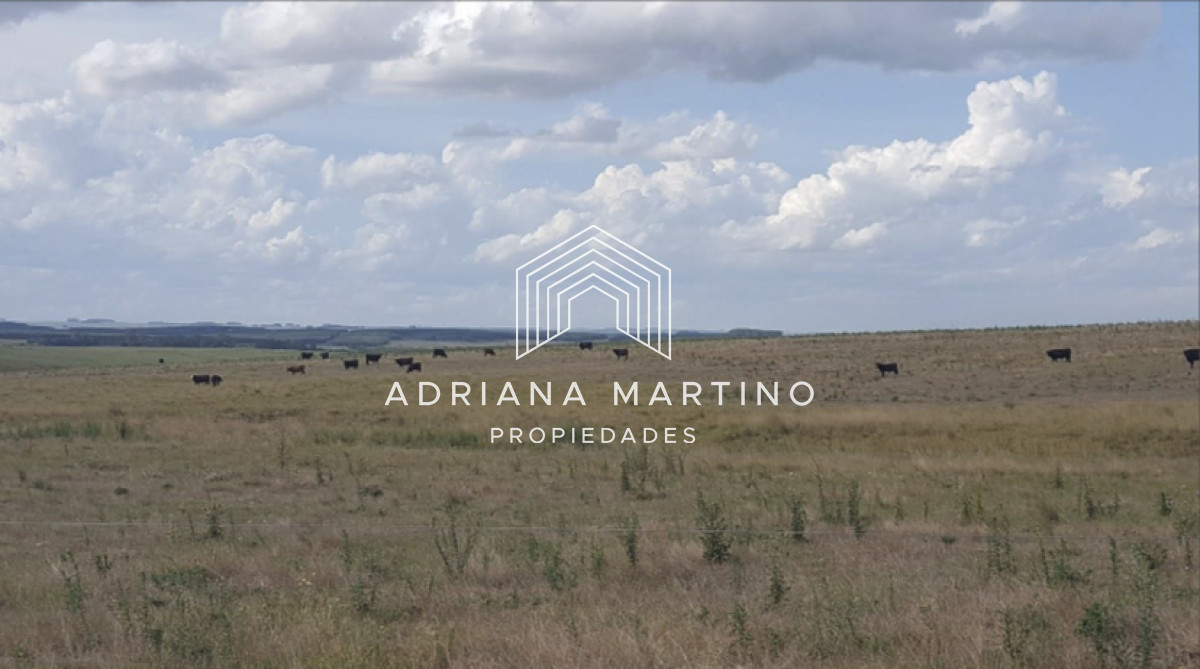 Campo en Lavalleja 1186 ha - GoPunta - Portal Inmobiliario de Punta del Este - Maldonado