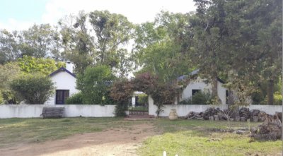 Campo en Lavalleja 1186 ha
