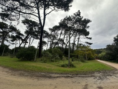 Terreno en Rincón del Indio