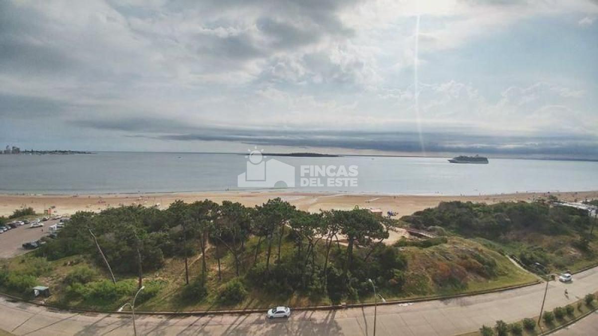 Mansa - GoPunta - Portal Inmobiliario de Punta del Este - Maldonado