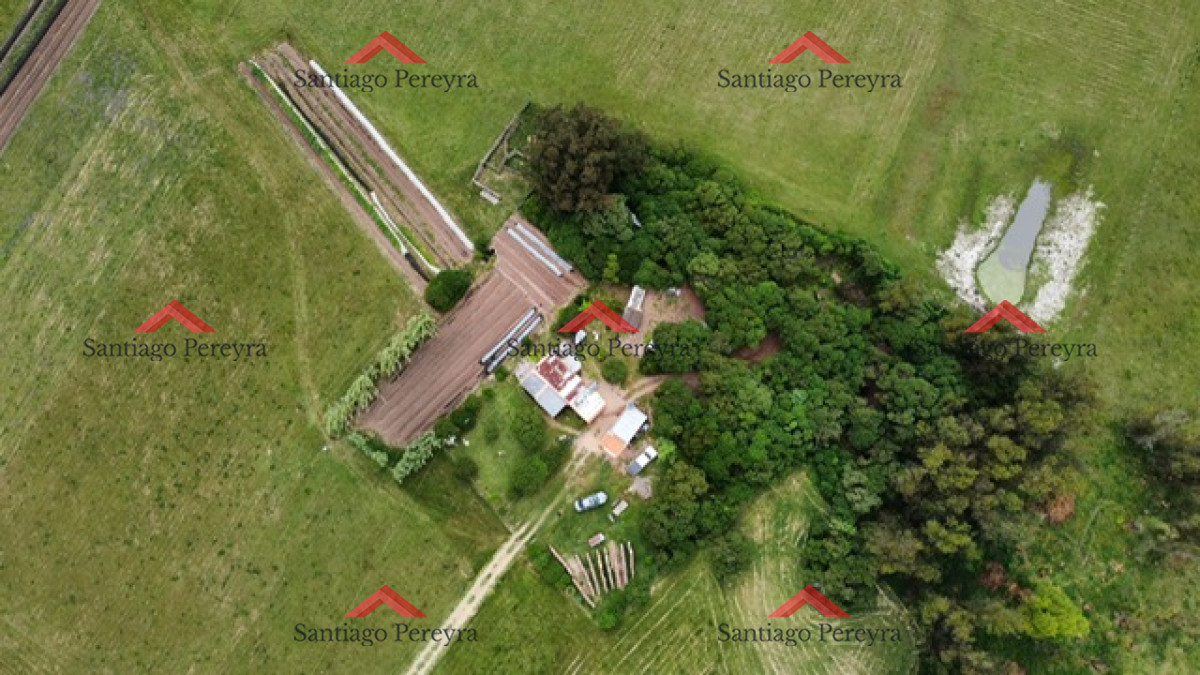 Medellin - GoPunta - Portal Inmobiliario de Punta del Este - Maldonado