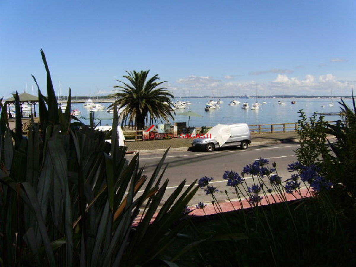 Peninsula - GoPunta - Portal Inmobiliario de Punta del Este - Maldonado