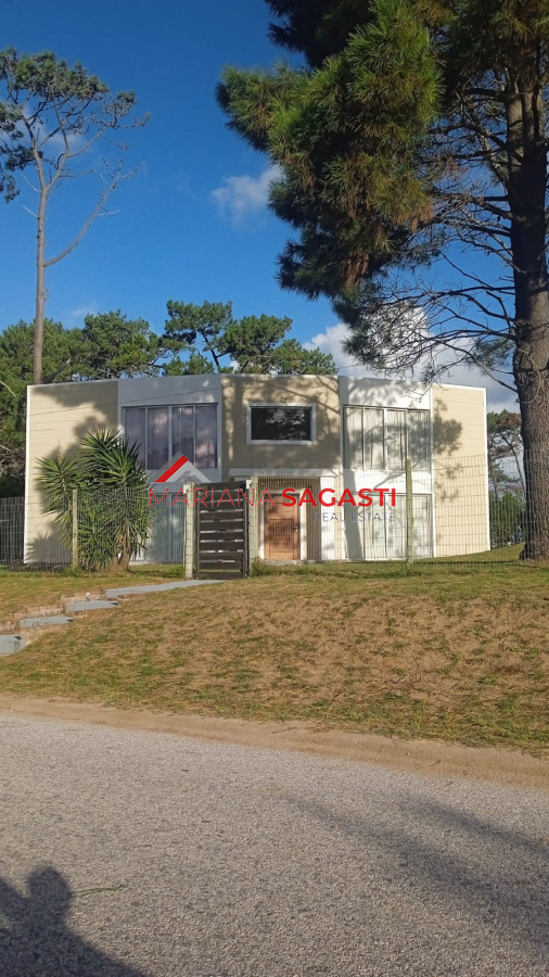 Chihuahua - GoPunta - Portal Inmobiliario de Punta del Este - Maldonado