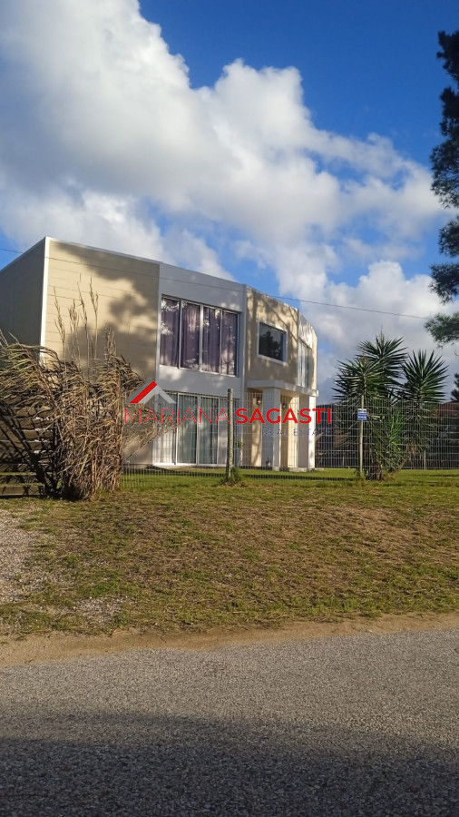 Chihuahua - GoPunta - Portal Inmobiliario de Punta del Este - Maldonado