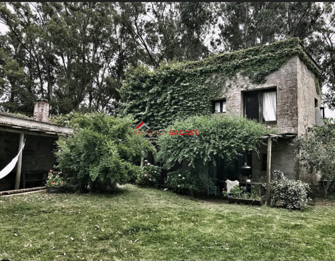 José Ignacio - GoPunta - Portal Inmobiliario de Punta del Este - Maldonado
