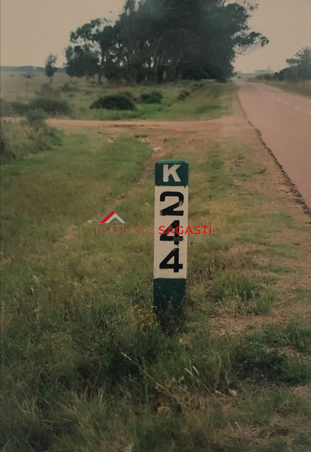 Zona Rural - GoPunta - Portal Inmobiliario de Punta del Este - Maldonado