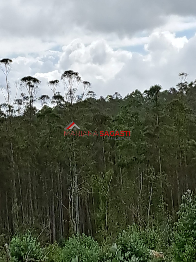 Campo en , - GoPunta - Portal Inmobiliario de Punta del Este - Maldonado