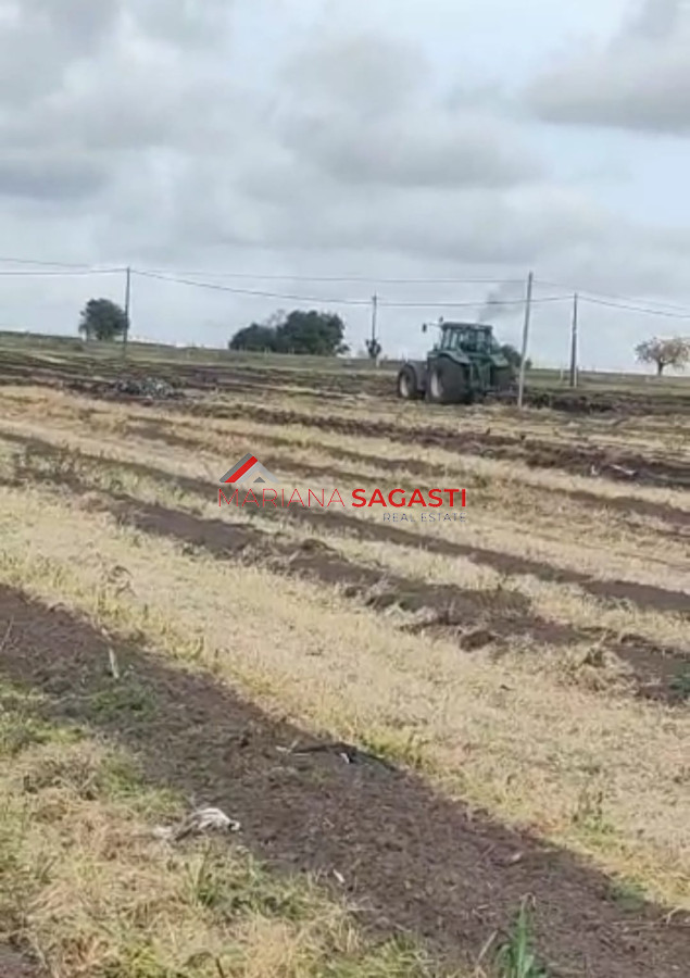 Campo en , - GoPunta - Portal Inmobiliario de Punta del Este - Maldonado