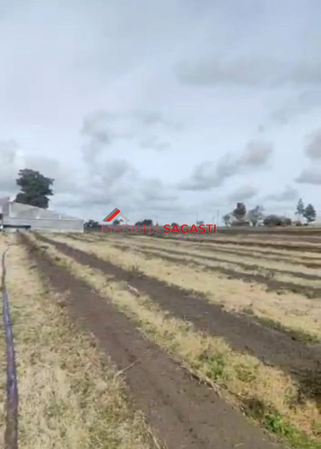 Campo en , - GoPunta - Portal Inmobiliario de Punta del Este - Maldonado