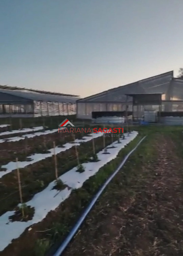 Campo en , - GoPunta - Portal Inmobiliario de Punta del Este - Maldonado