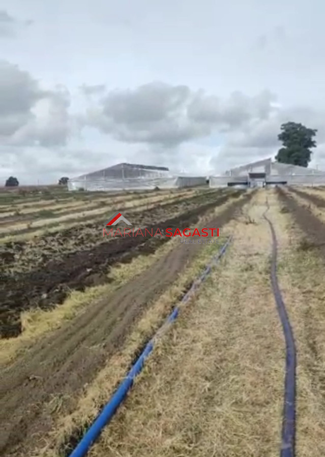 Campo en , - GoPunta - Portal Inmobiliario de Punta del Este - Maldonado
