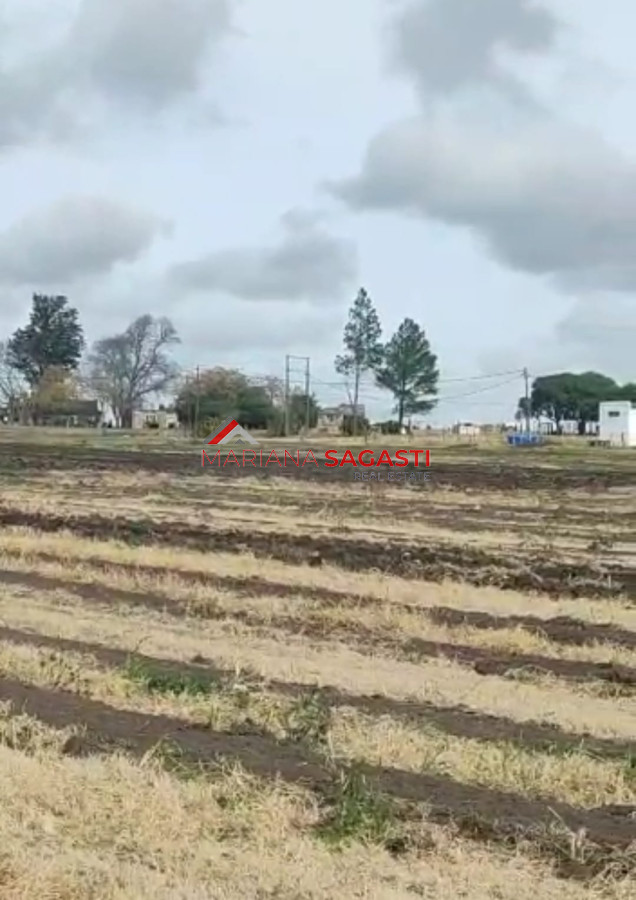 Campo en , - GoPunta - Portal Inmobiliario de Punta del Este - Maldonado