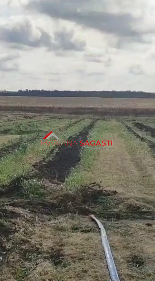 Campo en , - GoPunta - Portal Inmobiliario de Punta del Este - Maldonado