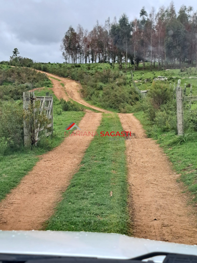 Campo en , - GoPunta - Portal Inmobiliario de Punta del Este - Maldonado