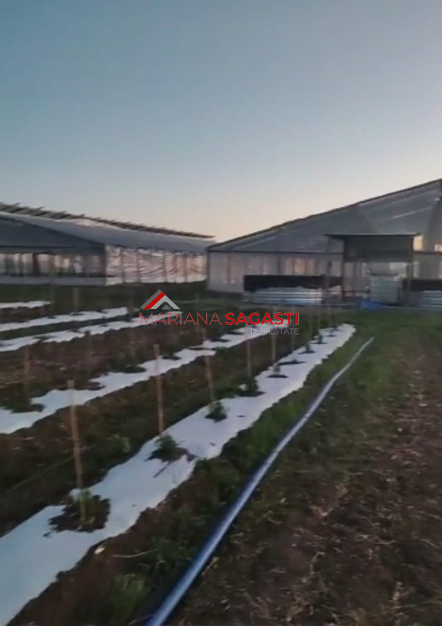Campo en , - GoPunta - Portal Inmobiliario de Punta del Este - Maldonado