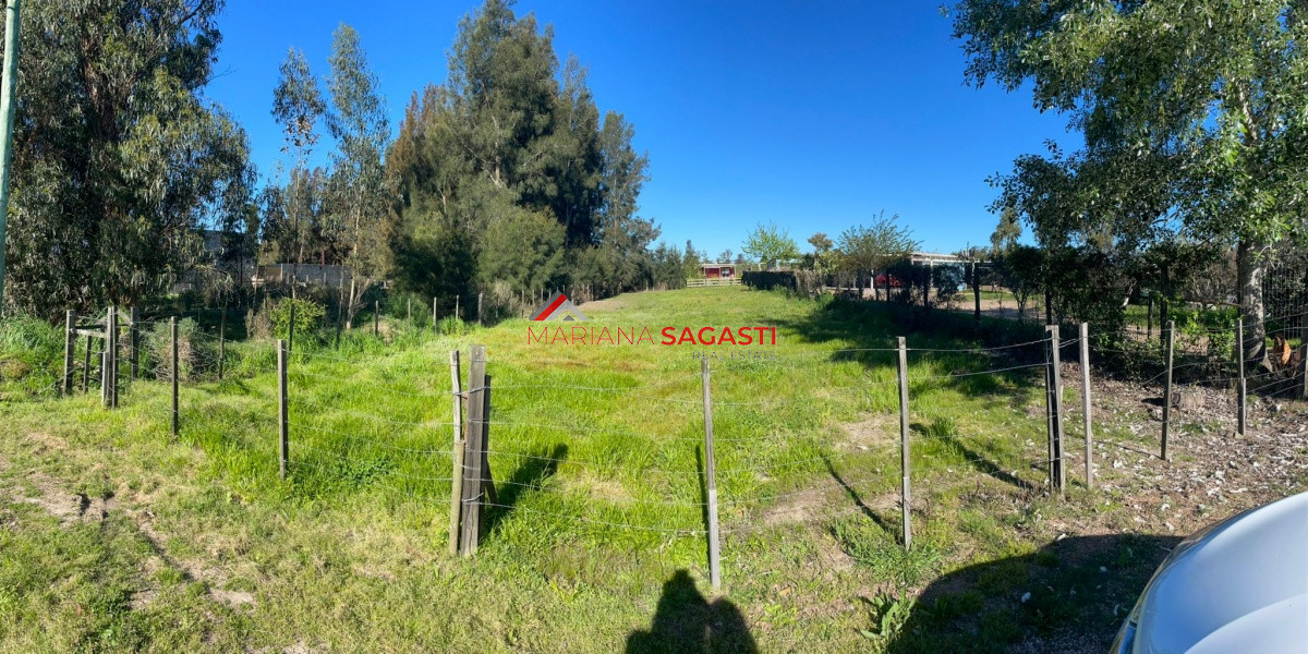 El Tesoro - GoPunta - Portal Inmobiliario de Punta del Este - Maldonado