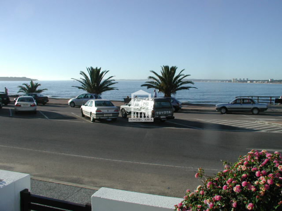 Peninsula - GoPunta - Portal Inmobiliario de Punta del Este - Maldonado