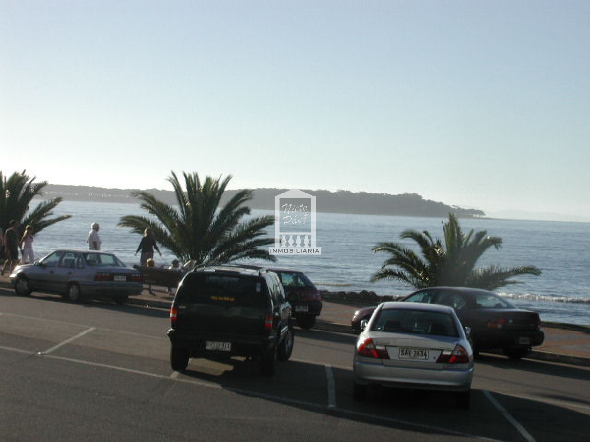 Peninsula - GoPunta - Portal Inmobiliario de Punta del Este - Maldonado