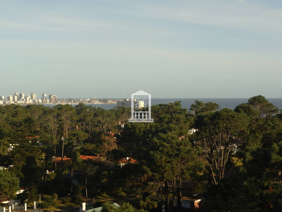 Roosevelt - GoPunta - Portal Inmobiliario de Punta del Este - Maldonado