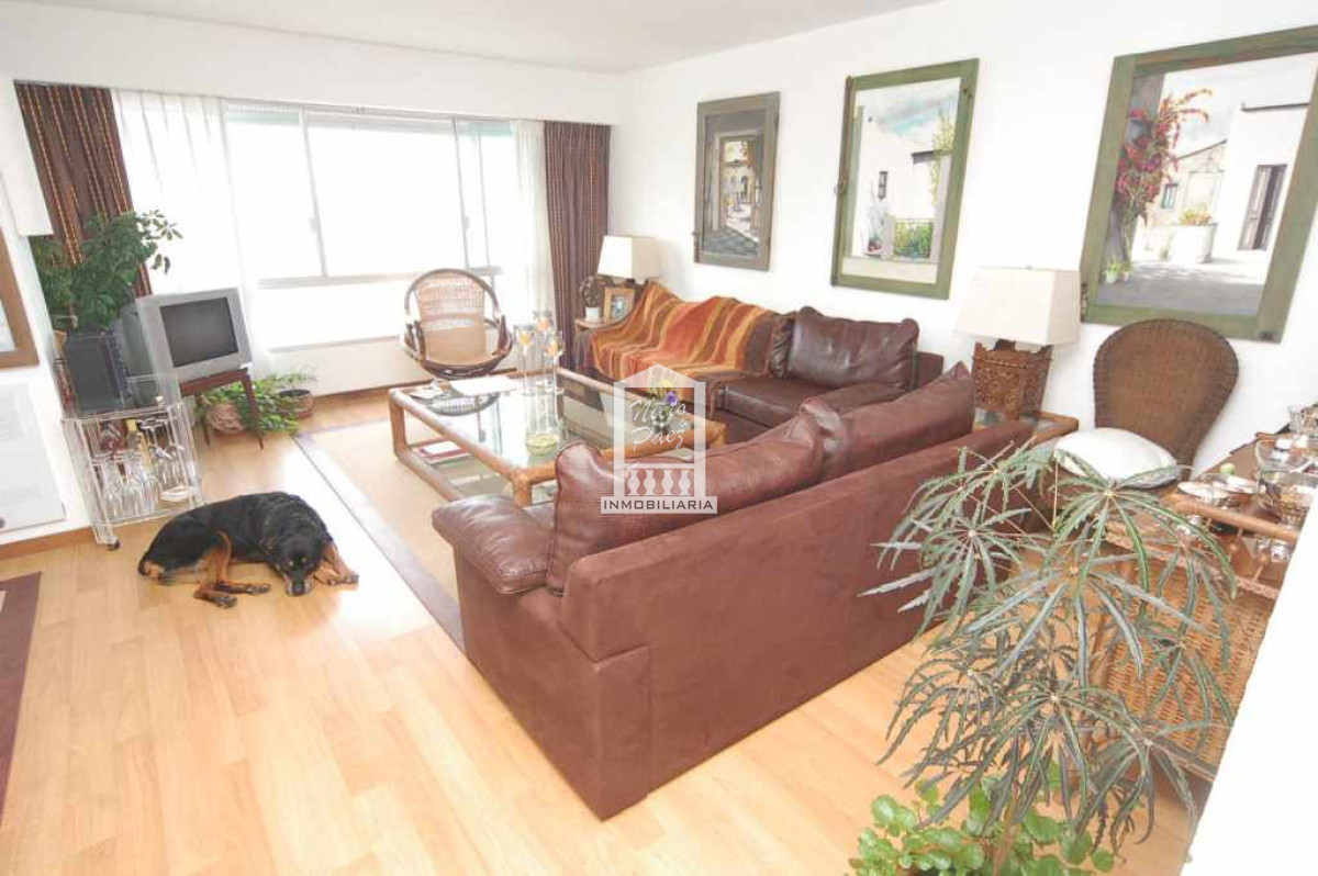 Mansa - GoPunta - Portal Inmobiliario de Punta del Este - Maldonado