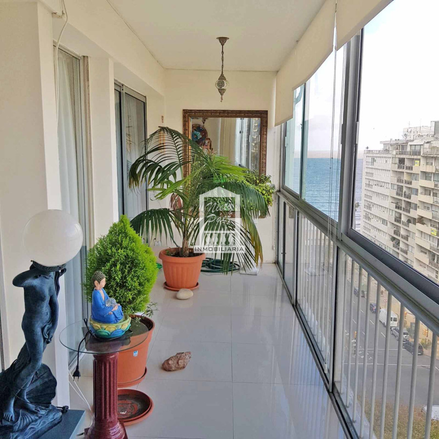 Pocitos - GoPunta - Portal Inmobiliario de Punta del Este - Maldonado