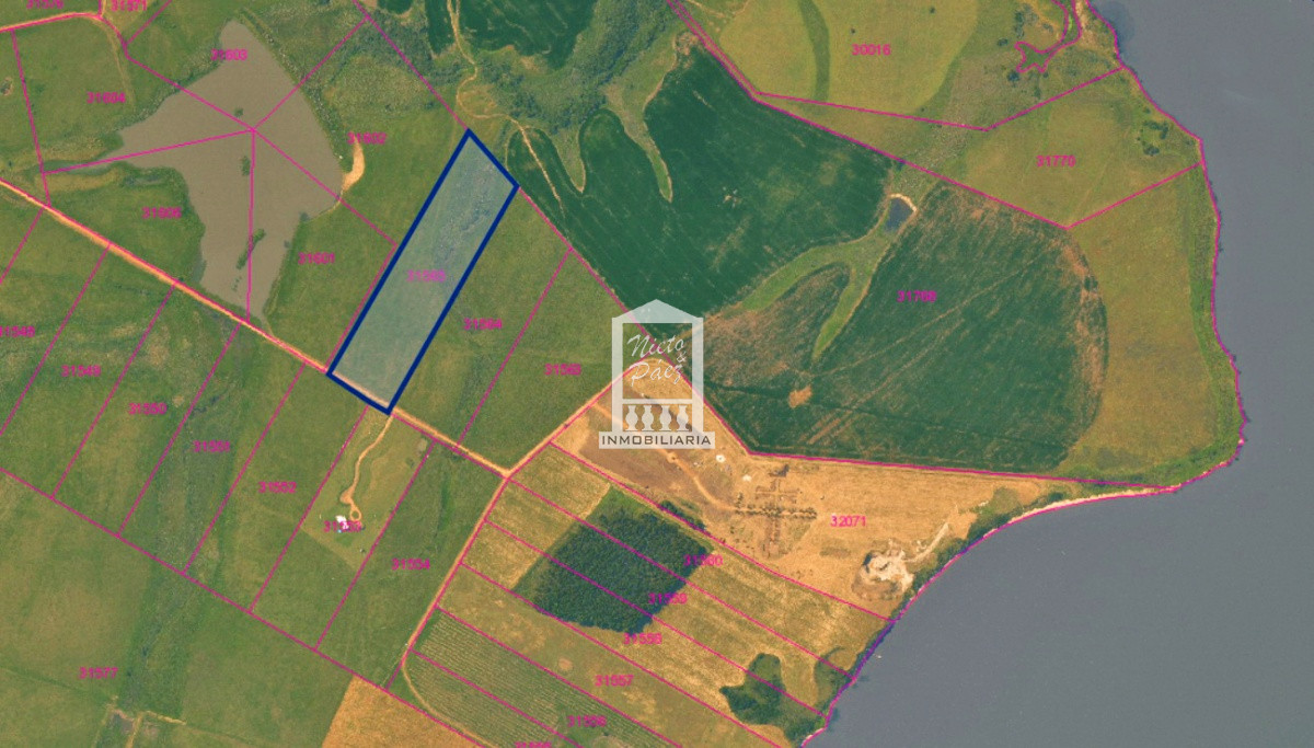 Laguna del Sauce - GoPunta - Portal Inmobiliario de Punta del Este - Maldonado