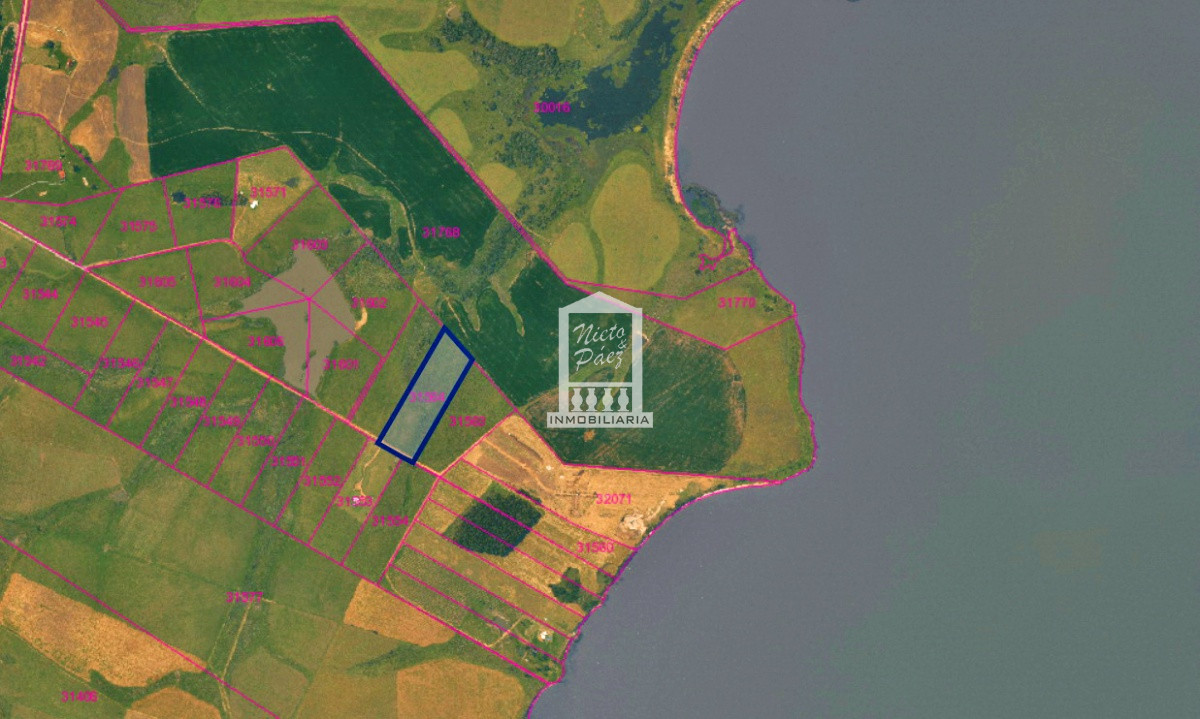 Laguna del Sauce - GoPunta - Portal Inmobiliario de Punta del Este - Maldonado