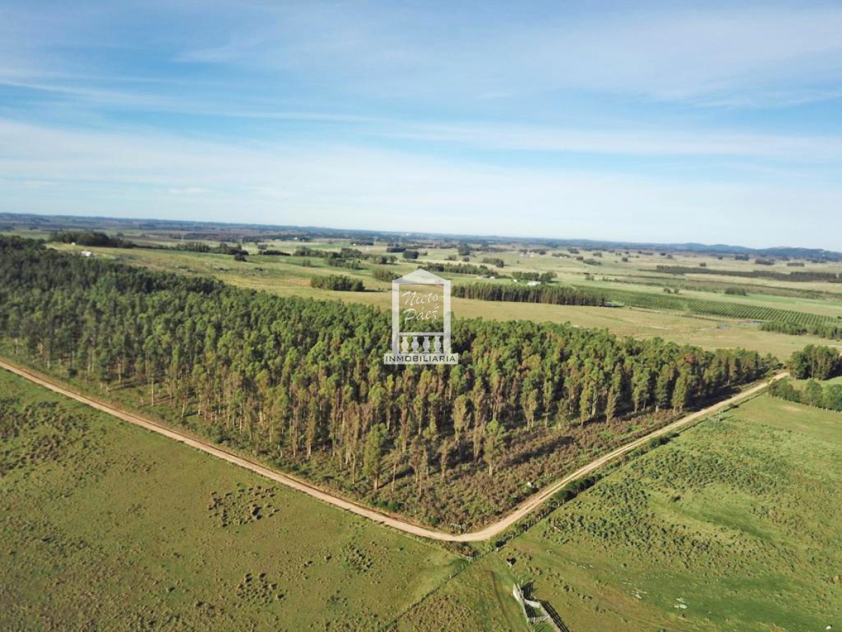 Ruta 39 - GoPunta - Portal Inmobiliario de Punta del Este - Maldonado