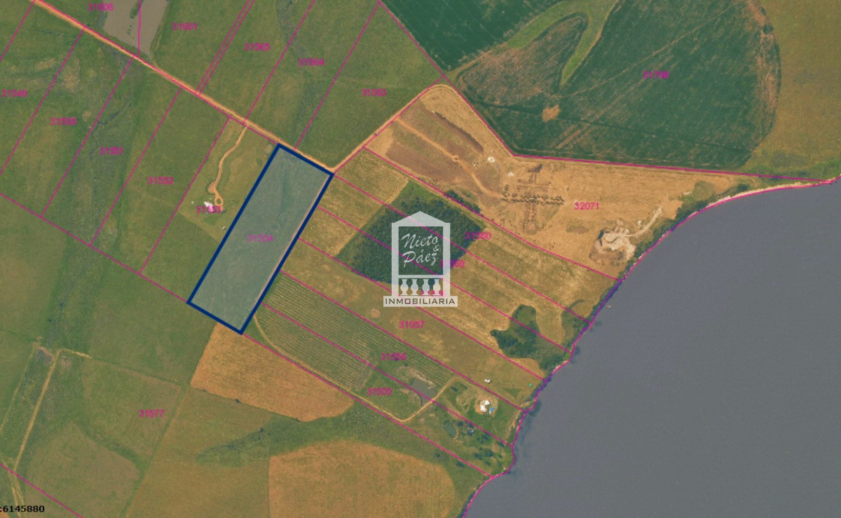 Laguna del Sauce - GoPunta - Portal Inmobiliario de Punta del Este - Maldonado